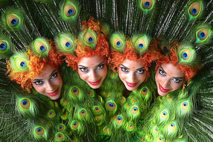 Peacock Performers in Green and Orange