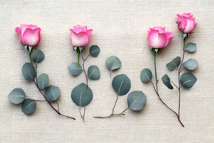 Pink Roses and Eucalyptus on Burlap