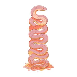Pink Snake Stack