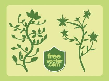 Plants Free Vector