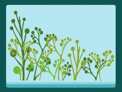 Plants s Free Vector