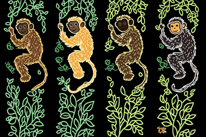 Playful Monkeys On Vines