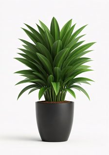 potted green plant
