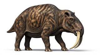 prehistoric uintatherium creature