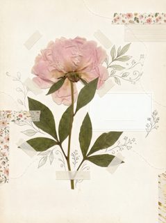 pressed peony scrapbook