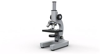 scientific compound microscope