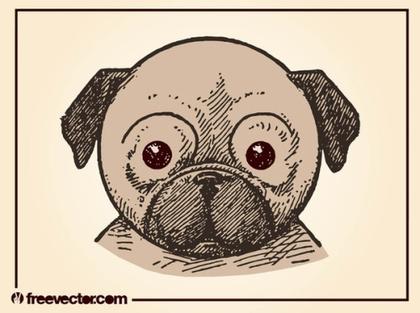 Puppy Free Vector