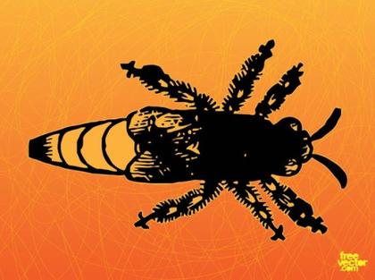Queen Bee Free Vector