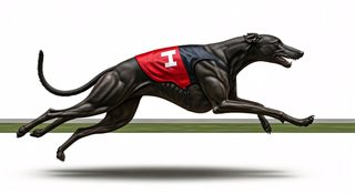racing greyhound sprint