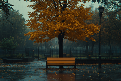 Rainy Day Solitude