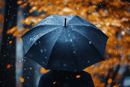 Rainy Day Umbrella
