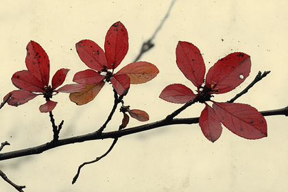 Red Autumn Leaves On Branch