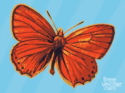Red Butterfly Free Vector