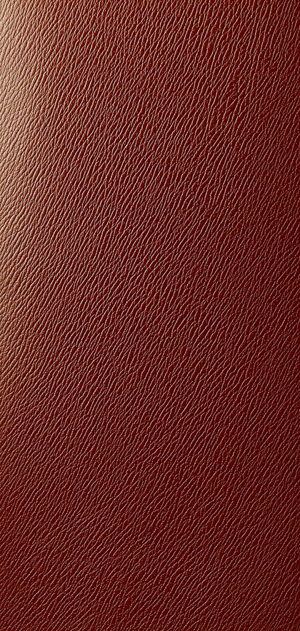 Red Leather Texture