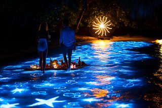 Romantic Bioluminescent Beach Dinner