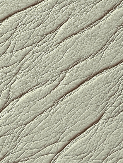 Rough White Leather Texture