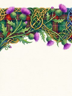 scottish thistle border