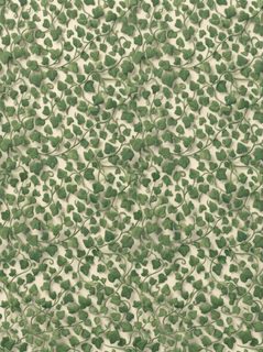 green ivy leaves