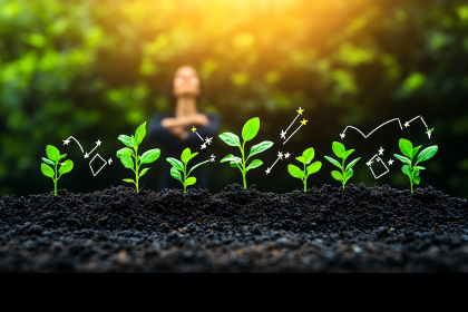 Seedling Growth Success
