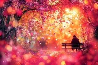 Serene Bench Under Blossoms
