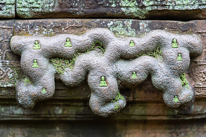 Serene Buddha Root