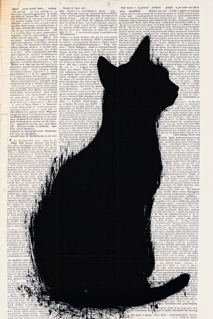 Shadow Cat on Old Paper