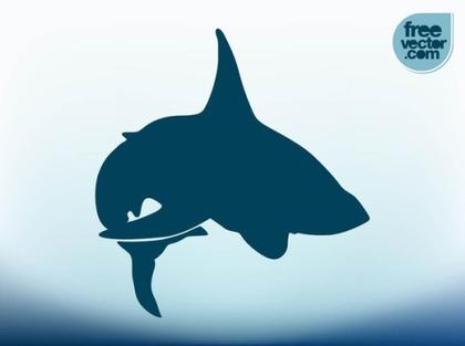 Shark Free Vector