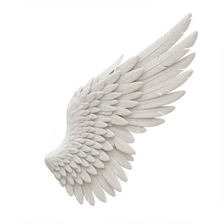 white-angel-wing