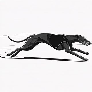 Greyhound in motion