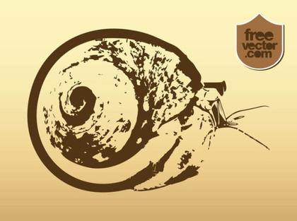 Snail Free Vector