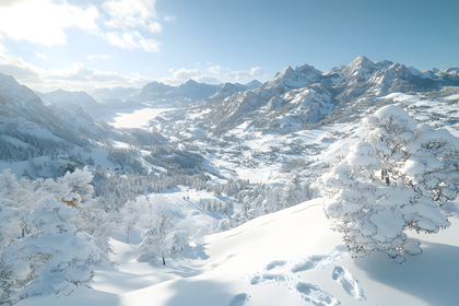 Snowy Mountain Vista