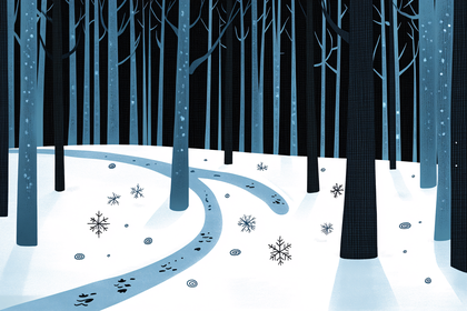 Snowy Night Forest Path