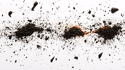Soil Scattered On White Surface