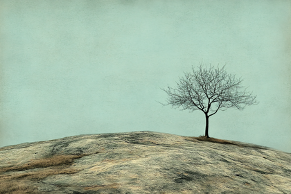 Solitary Tree on Hill