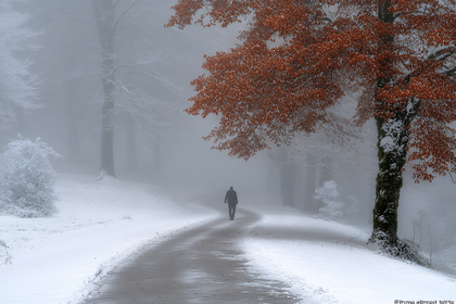 Solitary Walk in Winter Fog