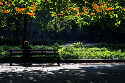 Solitude in the Park