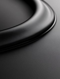 Speaker Surround Close-Up