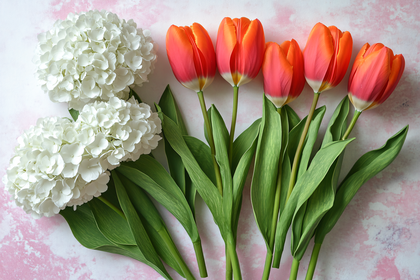 Spring Blooms: Tulips and Hydrangeas