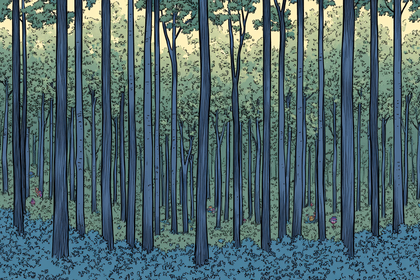 Tall Trees Forest Illustration