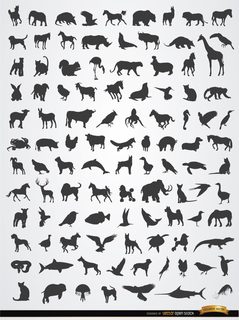 Terrestrial, Aerial, and Aquatic Animal Silhouettes Free Vector