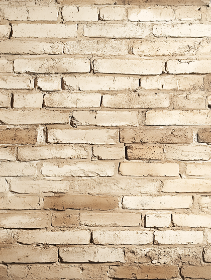 Textured Brick Wall