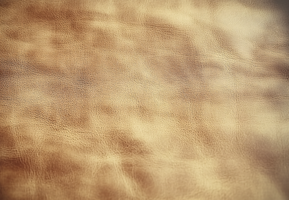 Textured Leather Surface