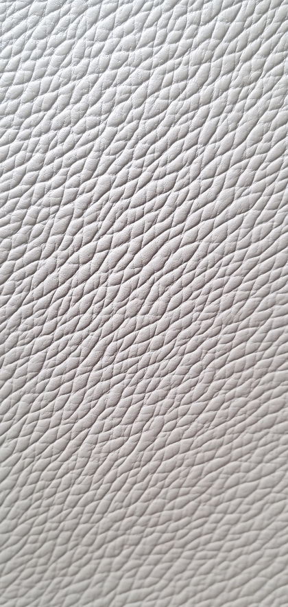Textured Leather Surface