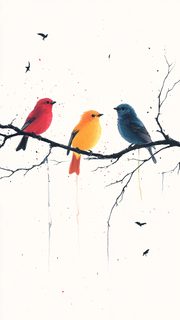 Three Colorful Birds On A Branch