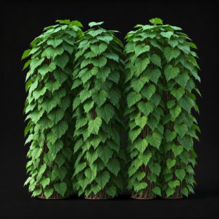 ivy covered pillars