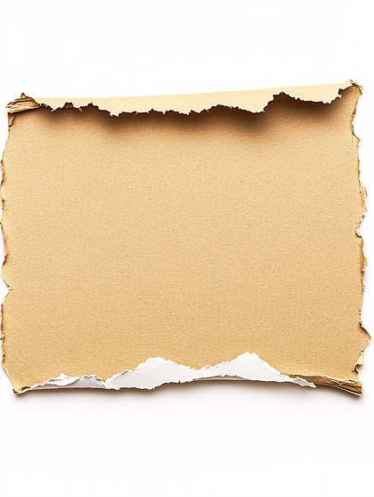 Torn Cardboard Sheet