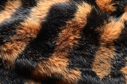 Tortoiseshell Fur Texture