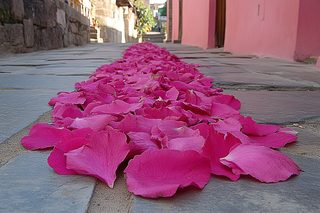 rose petal path