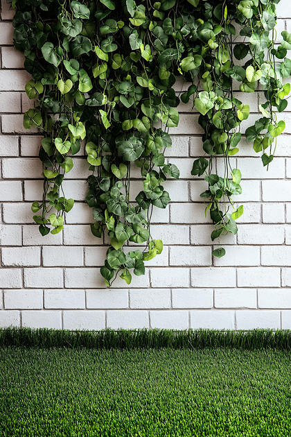 Trailing Vine and Brick Wall