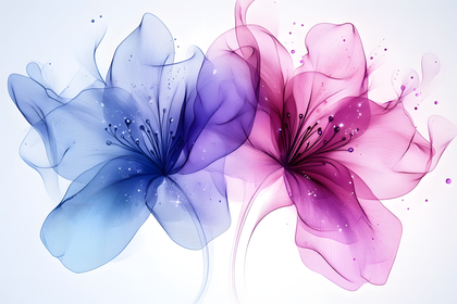 Transparent Floral Duo